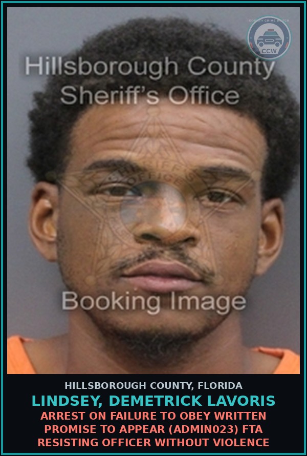 Booking mugshot of LINDSEY, DEMETRICK LAVORIS in Hillsborough County