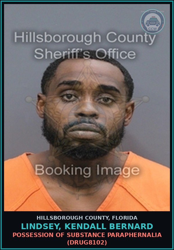 Booking mugshot of LINDSEY, KENDALL BERNARD in Hillsborough County