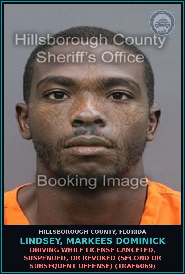 Booking mugshot of LINDSEY, MARKEES DOMINICK in Hillsborough County