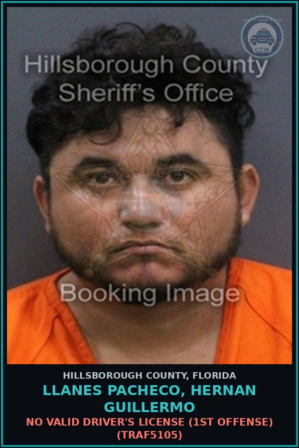 Booking mugshot of LLANES PACHECO, HERNAN GUILLERMO in Hillsborough County