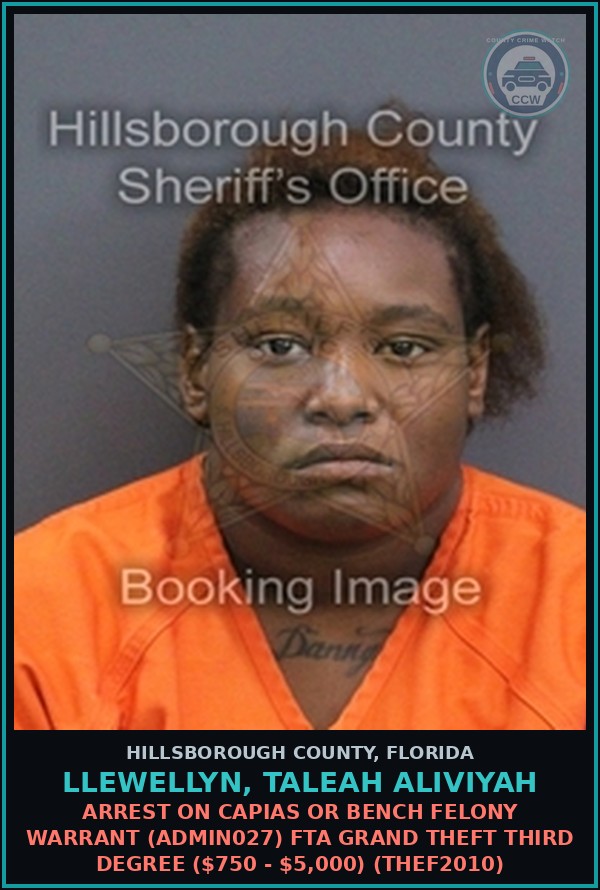 Booking mugshot of LLEWELLYN, TALEAH ALIVIYAH in Hillsborough County