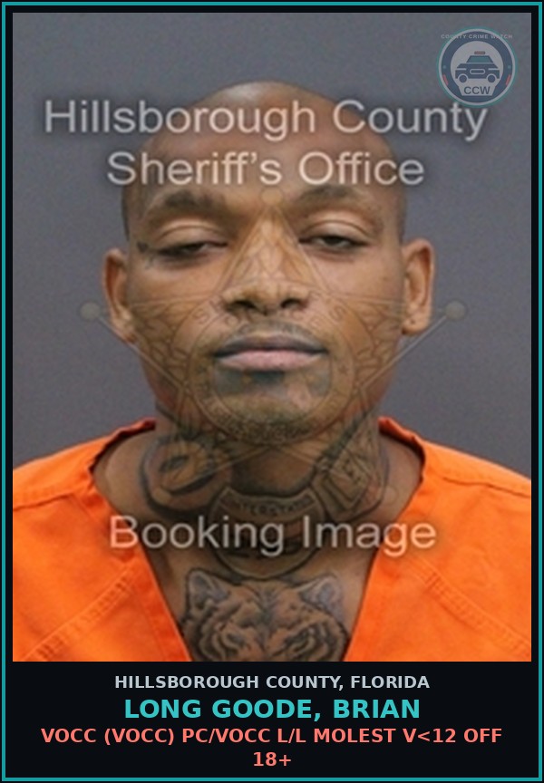 Booking mugshot of LONG GOODE, BRIAN in Hillsborough County