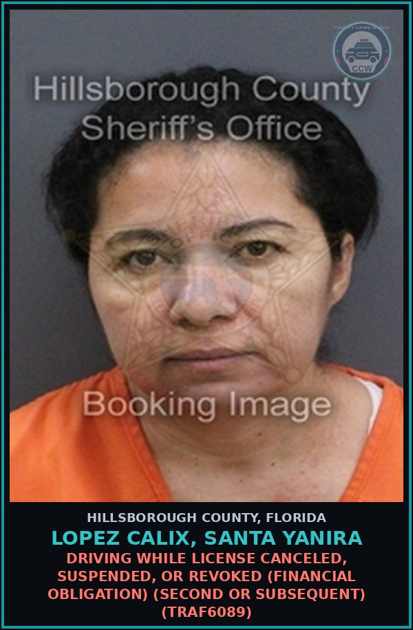 Booking mugshot of LOPEZ CALIX, SANTA YANIRA in Hillsborough County