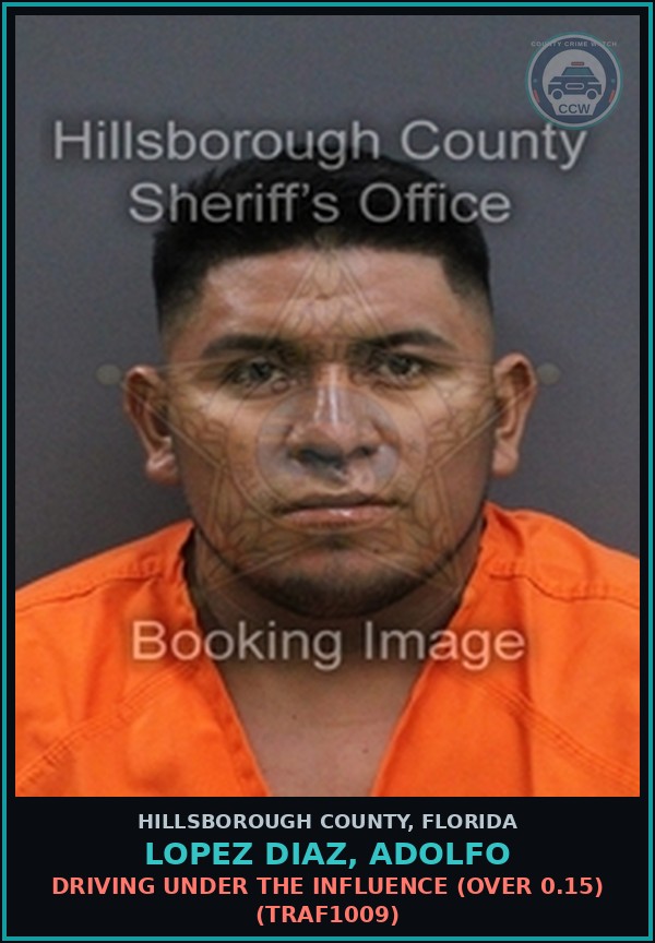 Booking mugshot of LOPEZ DIAZ, ADOLFO in Hillsborough County