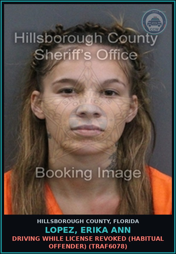 Booking mugshot of LOPEZ, ERIKA ANN in Hillsborough County