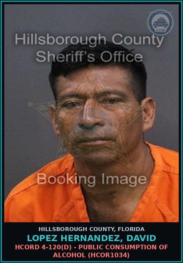 Booking mugshot of LOPEZ HERNANDEZ, DAVID in Hillsborough County