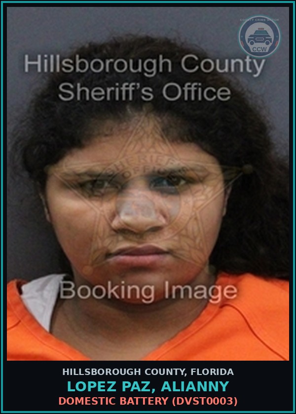 Booking mugshot of LOPEZ PAZ, ALIANNY in Hillsborough County