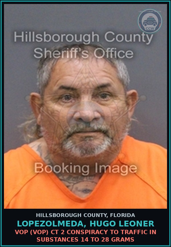 Booking mugshot of LOPEZOLMEDA, HUGO LEONER in Hillsborough County