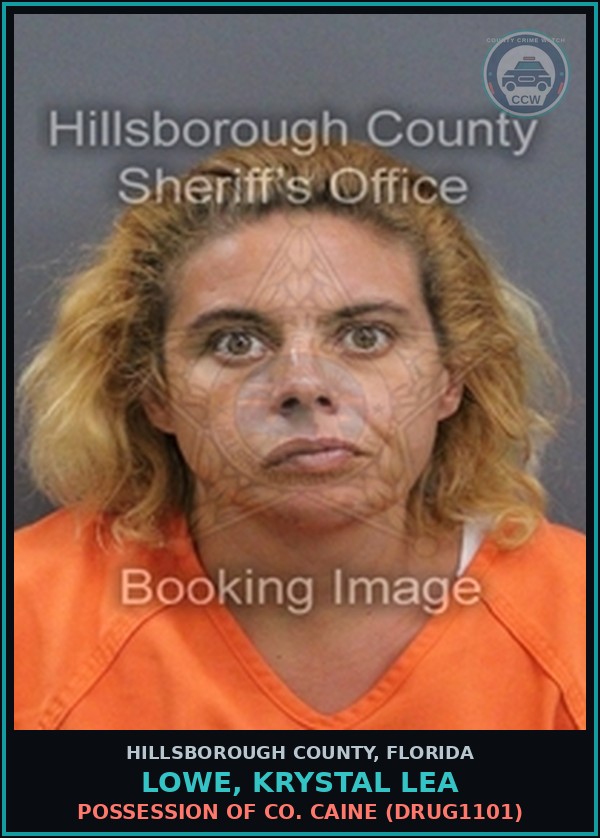Booking mugshot of LOWE, KRYSTAL LEA in Hillsborough County