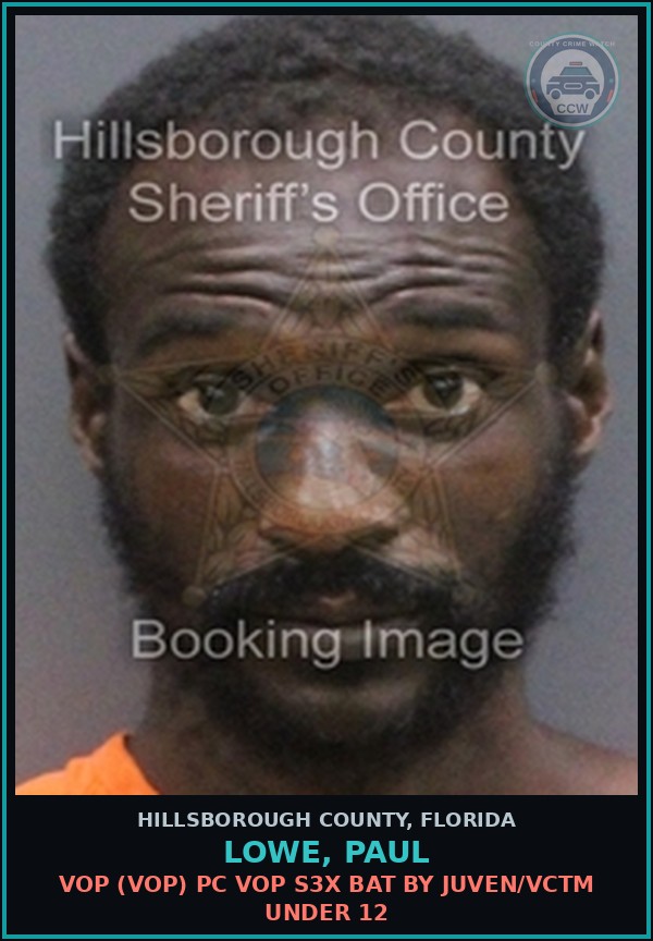 Booking mugshot of LOWE, PAUL in Hillsborough County