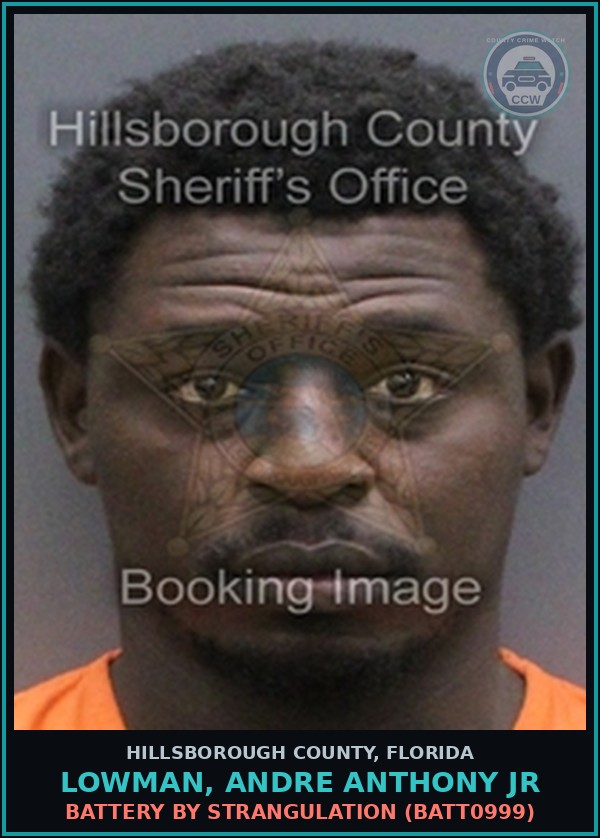 Booking mugshot of LOWMAN, ANDRE ANTHONY JR in Hillsborough County