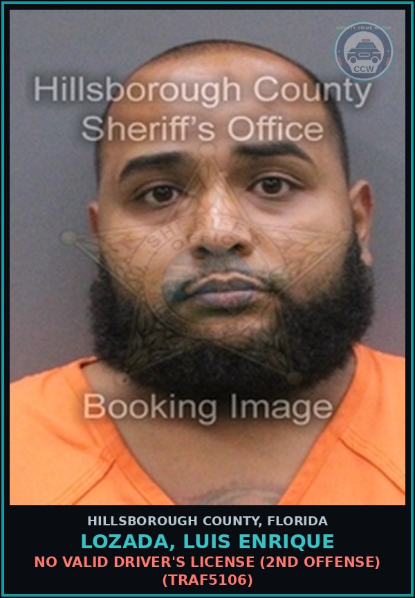 Booking mugshot of LOZADA, LUIS ENRIQUE in Hillsborough County