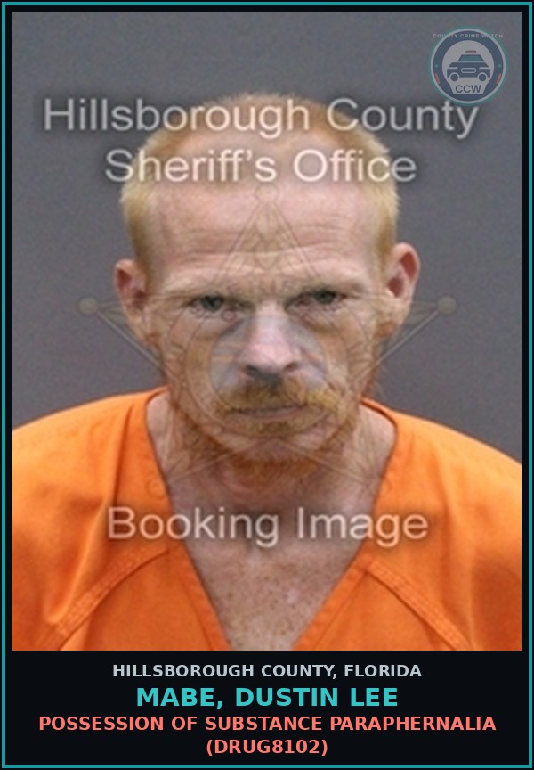 Booking mugshot of MABE, DUSTIN LEE in Hillsborough County