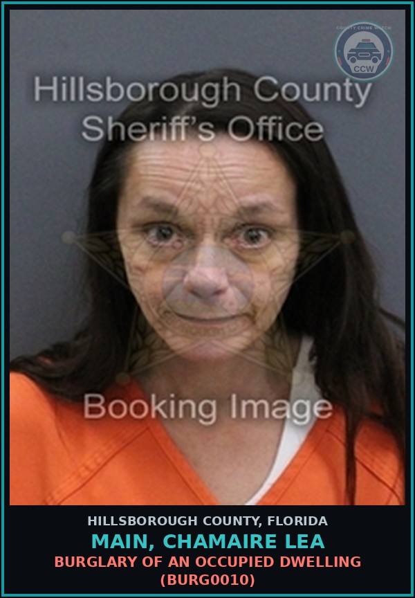 Booking mugshot of MAIN, CHAMAIRE LEA in Hillsborough County