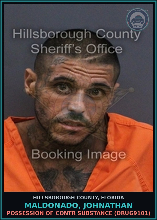 Booking mugshot of MALDONADO, JOHNATHAN in Hillsborough County