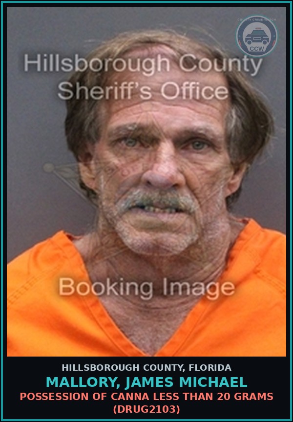 Booking mugshot of MALLORY, JAMES MICHAEL in Hillsborough County