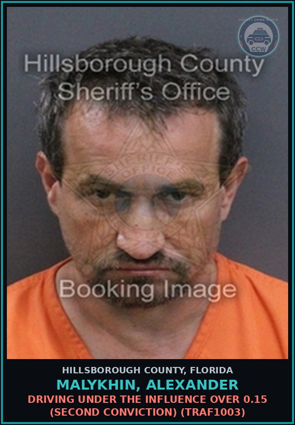 Booking mugshot of MALYKHIN, ALEXANDER in Hillsborough County