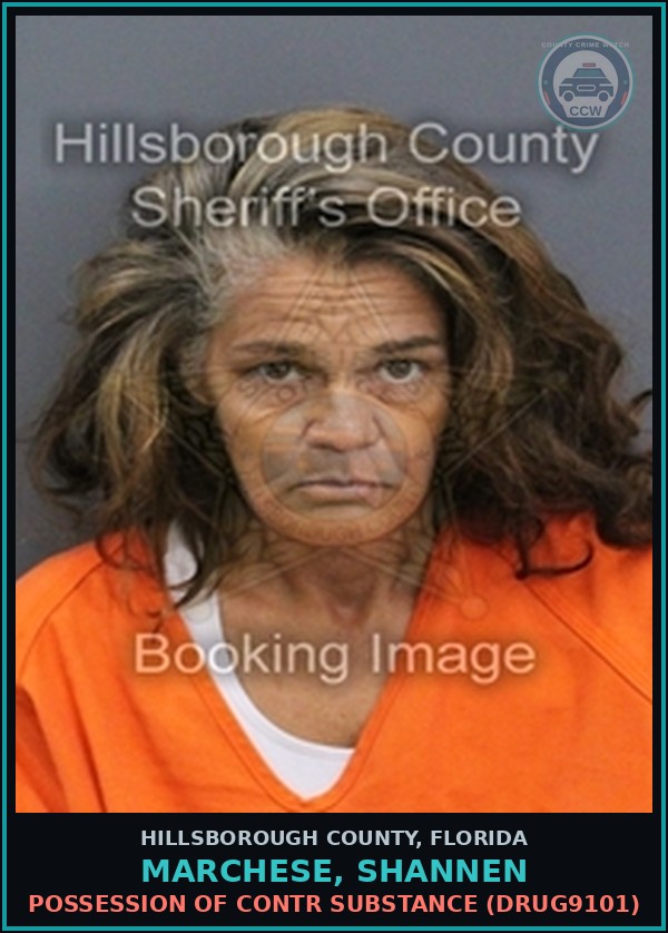 Booking mugshot of MARCHESE, SHANNEN in Hillsborough County