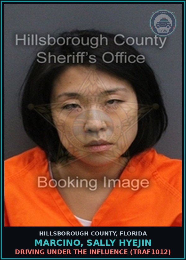 Booking mugshot of MARCINO, SALLY HYEJIN in Hillsborough County