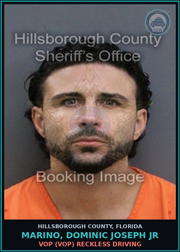 Booking mugshot of MARINO, DOMINIC JOSEPH JR in Hillsborough County