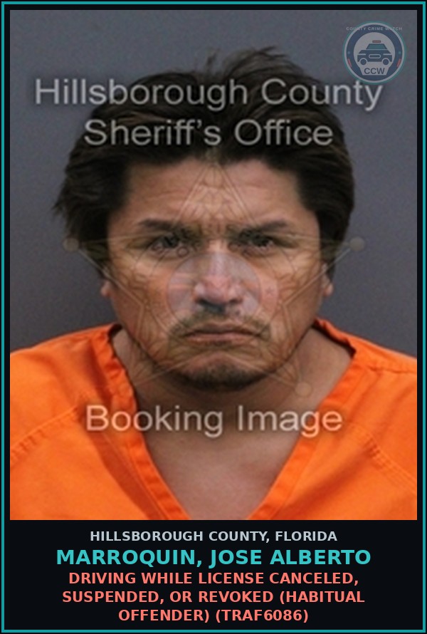 Booking mugshot of MARROQUIN, JOSE ALBERTO in Hillsborough County