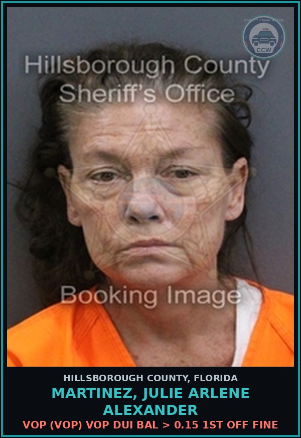 Booking mugshot of MARTINEZ, JULIE ARLENE ALEXANDER in Hillsborough County