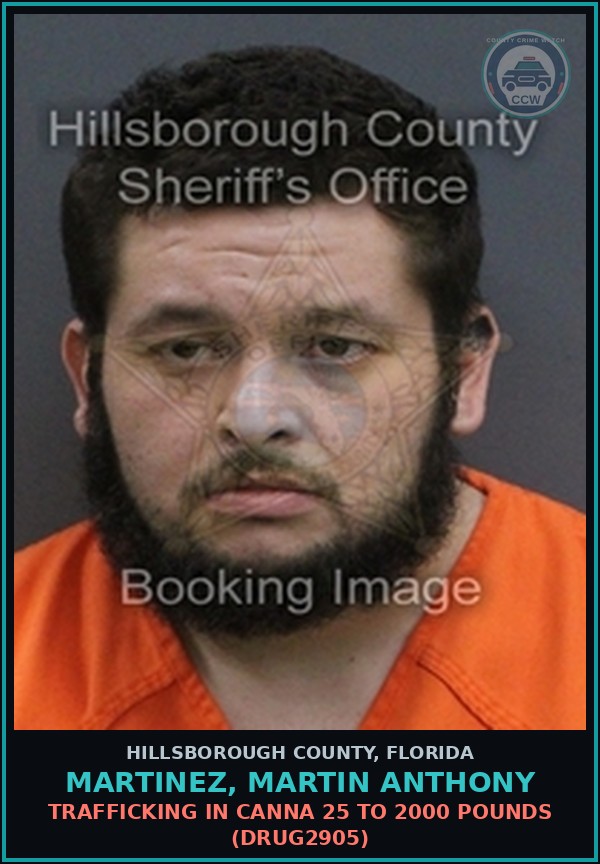 Booking mugshot of MARTINEZ, MARTIN ANTHONY in Hillsborough County