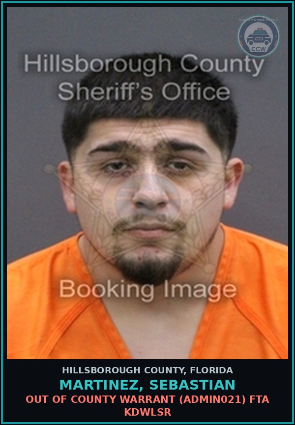 Booking mugshot of MARTINEZ, SEBASTIAN in Hillsborough County