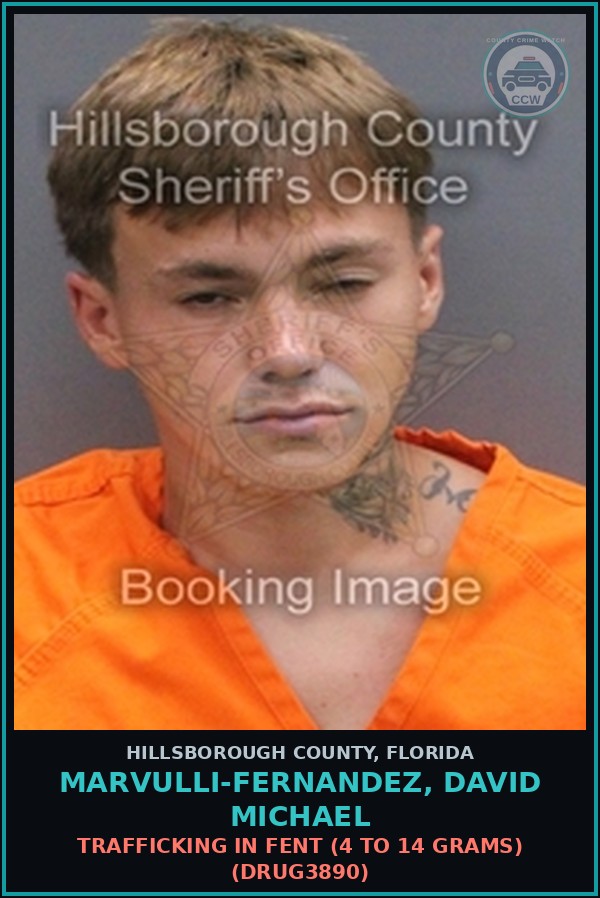 Booking mugshot of MARVULLI-FERNANDEZ, DAVID MICHAEL in Hillsborough County
