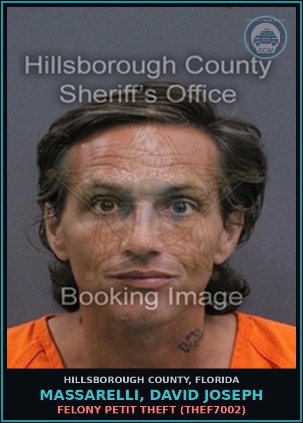 Booking mugshot of MASSARELLI, DAVID JOSEPH in Hillsborough County