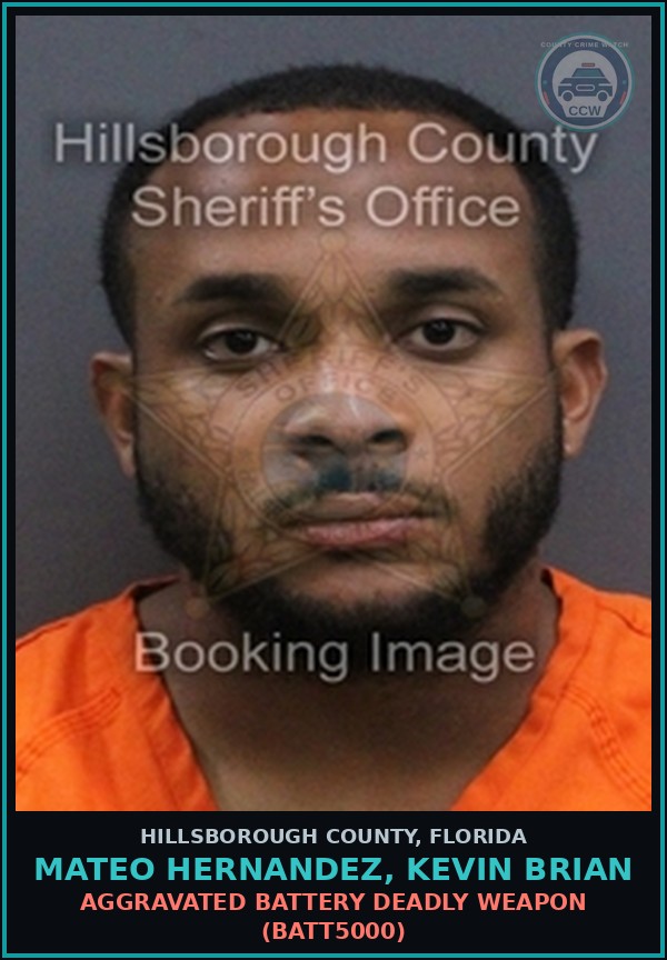 Booking mugshot of MATEO HERNANDEZ, KEVIN BRIAN in Hillsborough County