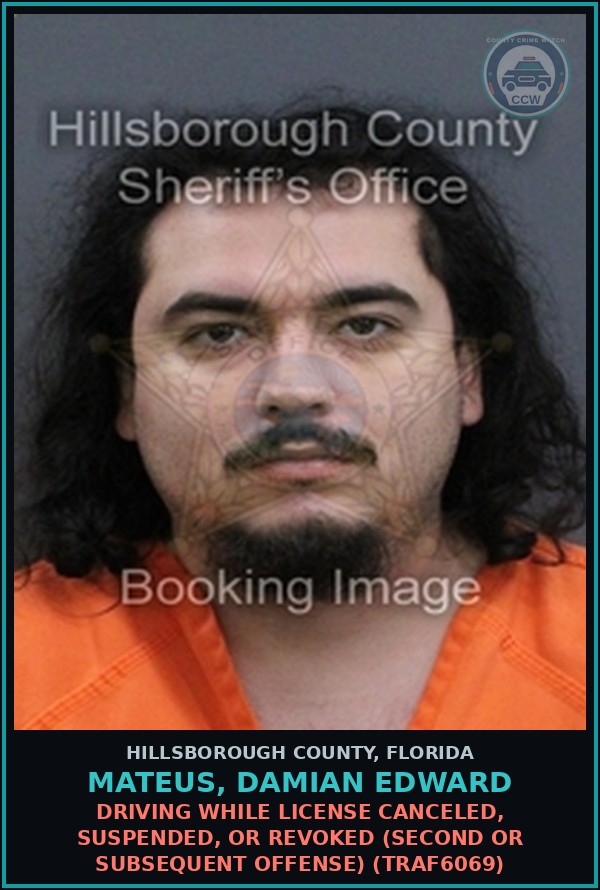 Booking mugshot of MATEUS, DAMIAN EDWARD in Hillsborough County