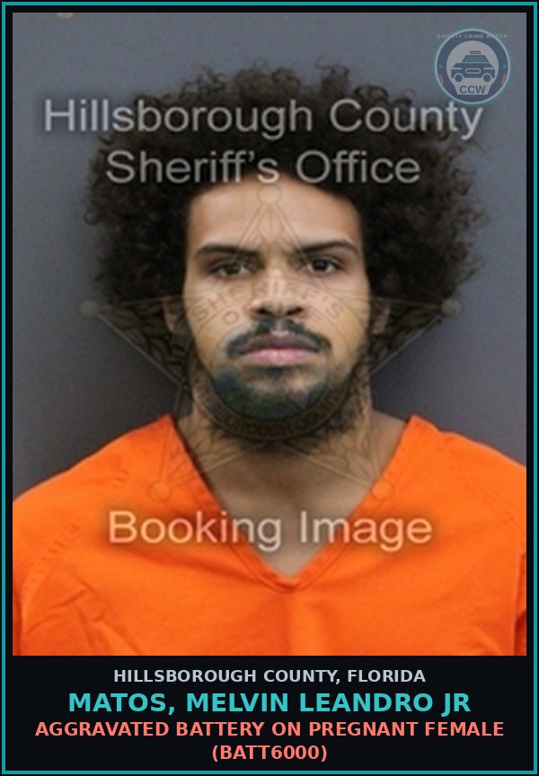 Booking mugshot of MATOS, MELVIN LEANDRO JR in Hillsborough County