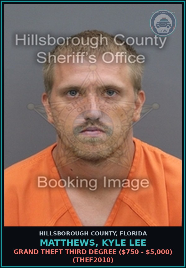 Booking mugshot of MATTHEWS, KYLE LEE in Hillsborough County