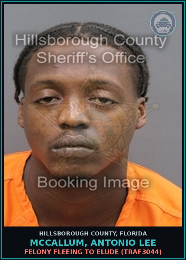 Booking mugshot of MCCALLUM, ANTONIO LEE in Hillsborough County