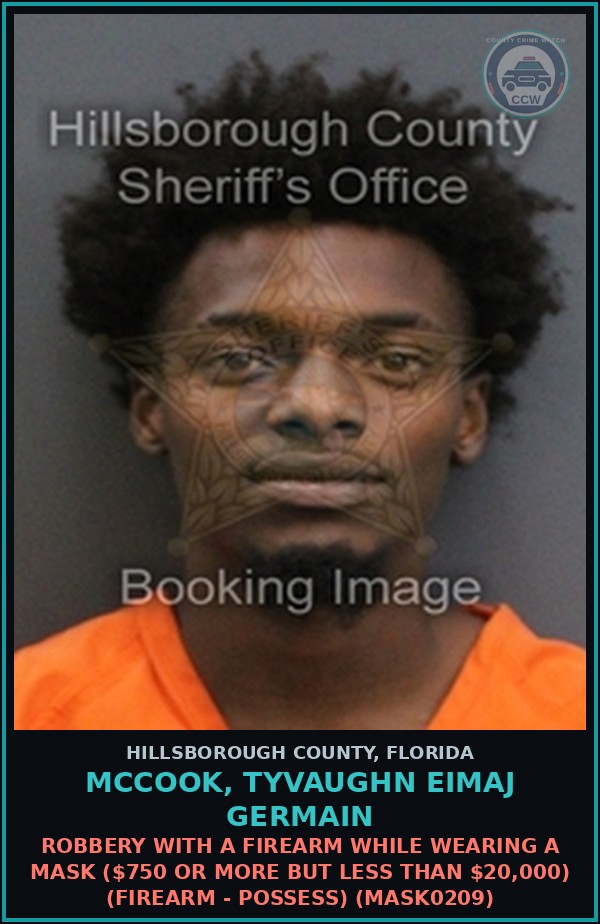 Booking mugshot of MCCOOK, TYVAUGHN EIMAJ GERMAIN in Hillsborough County