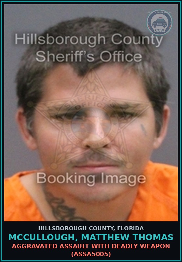 Booking mugshot of MCCULLOUGH, MATTHEW THOMAS in Hillsborough County