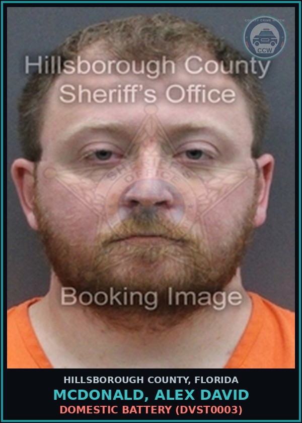Booking mugshot of MCDONALD, ALEX DAVID in Hillsborough County