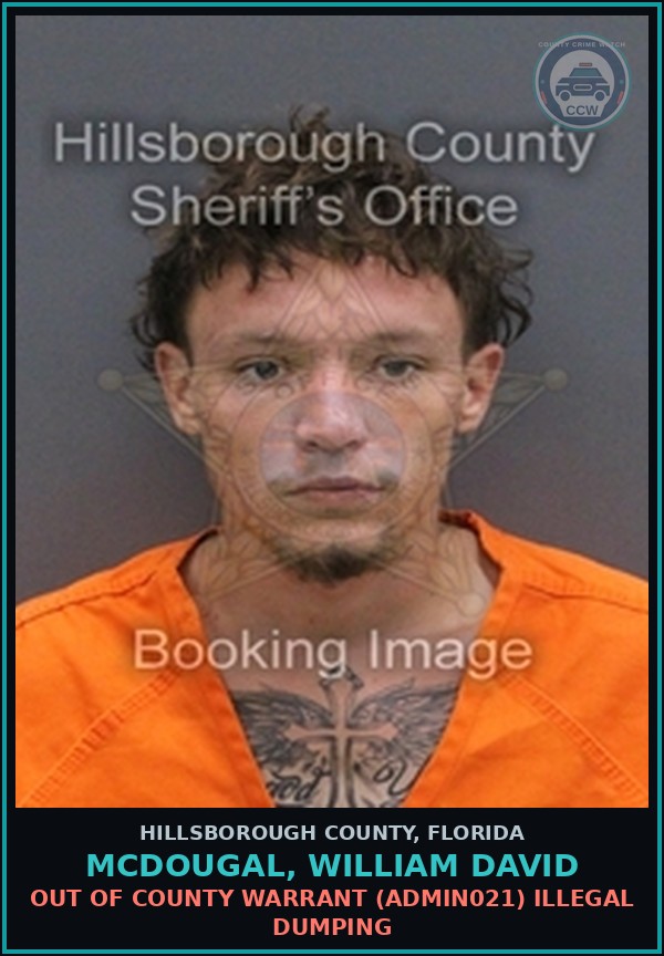 Booking mugshot of MCDOUGAL, WILLIAM DAVID in Hillsborough County