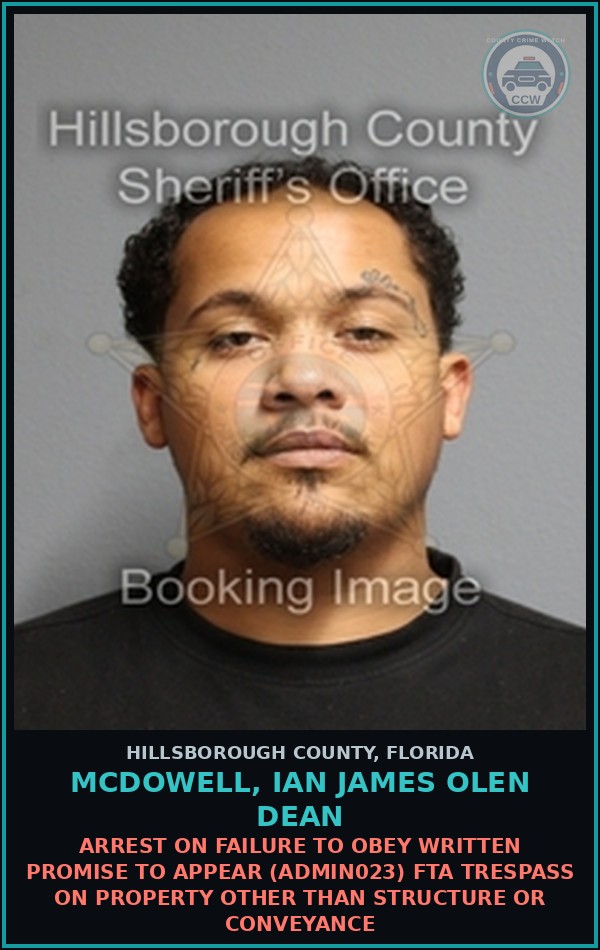 Booking mugshot of MCDOWELL, IAN JAMES OLEN DEAN in Hillsborough County