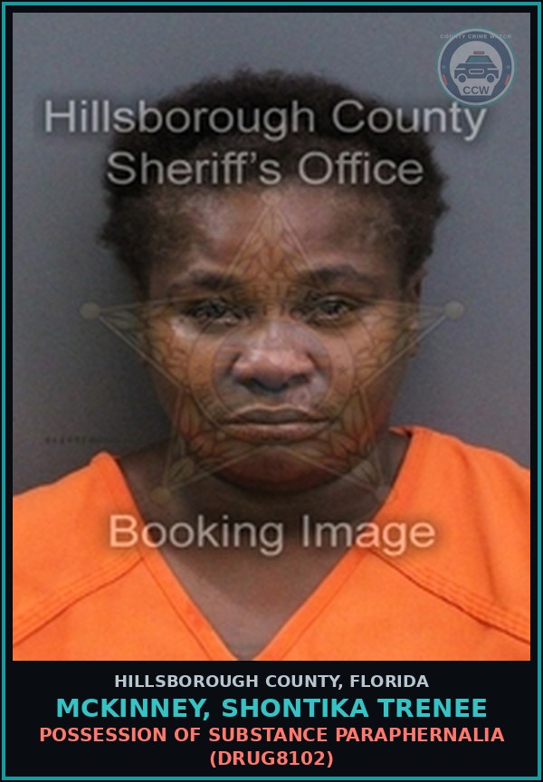 Booking mugshot of MCKINNEY, SHONTIKA TRENEE in Hillsborough County