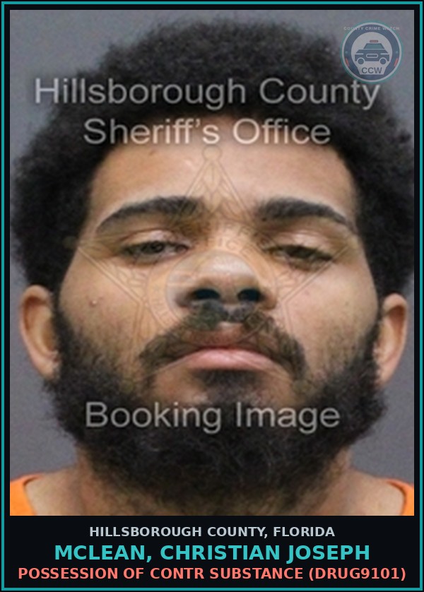 Booking mugshot of MCLEAN, CHRISTIAN JOSEPH in Hillsborough County
