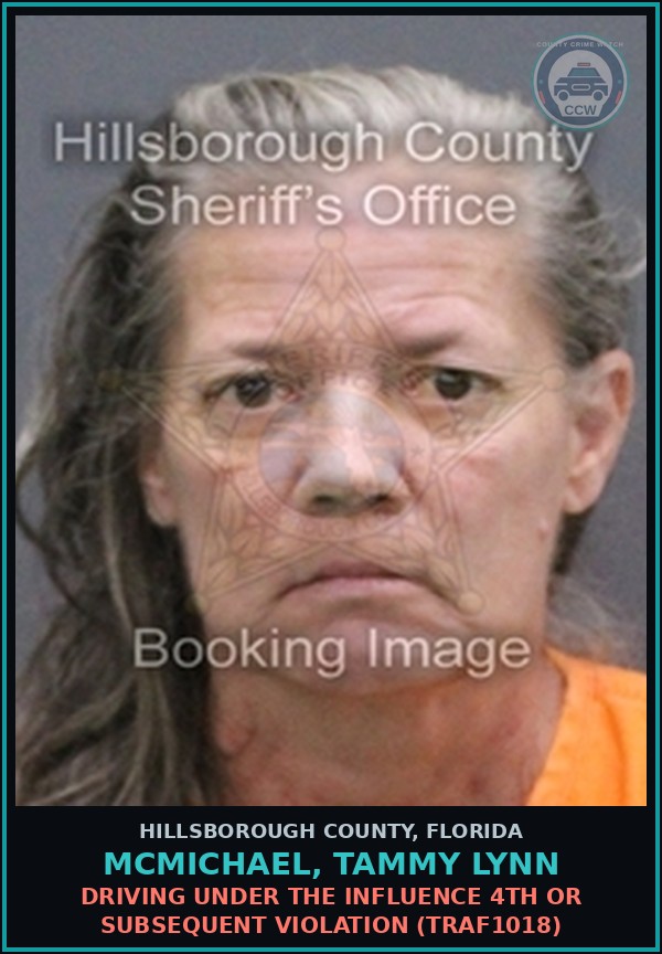 Booking mugshot of MCMICHAEL, TAMMY LYNN in Hillsborough County