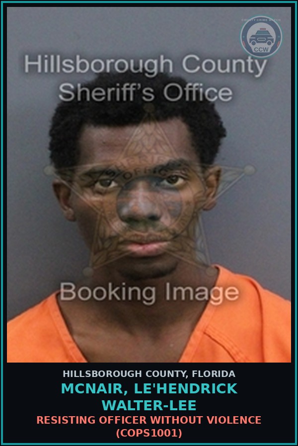 Booking mugshot of MCNAIR, LE'HENDRICK WALTER-LEE in Hillsborough County