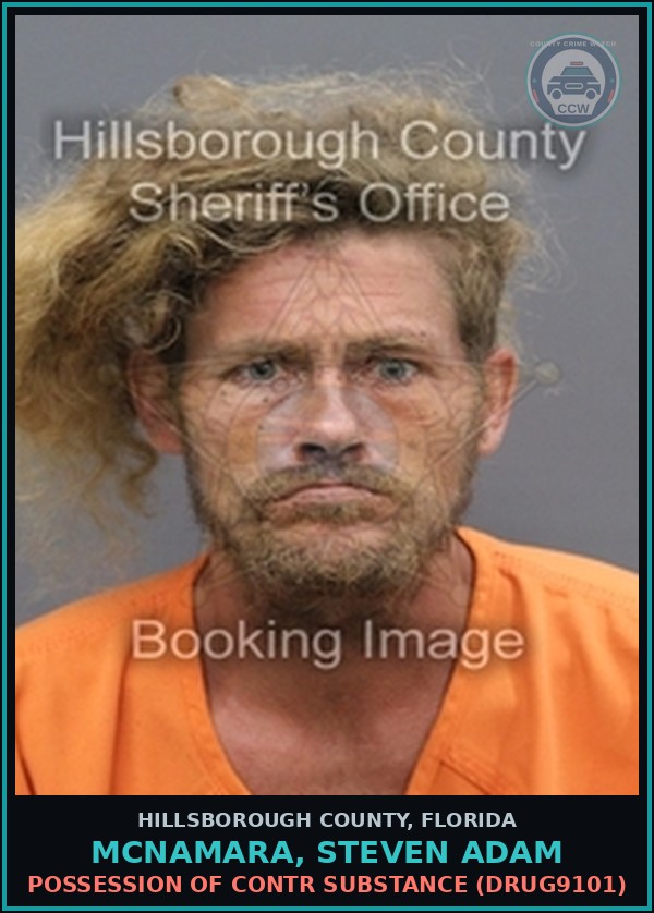 Booking mugshot of MCNAMARA, STEVEN ADAM in Hillsborough County
