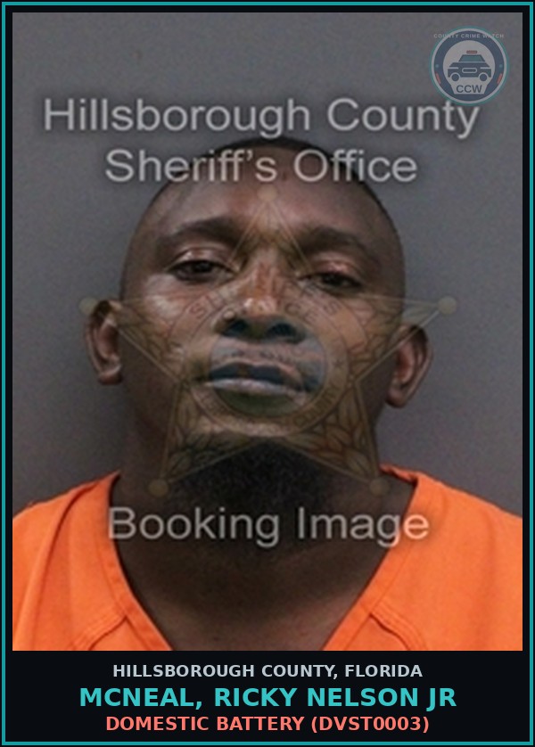 Booking mugshot of MCNEAL, RICKY NELSON JR in Hillsborough County