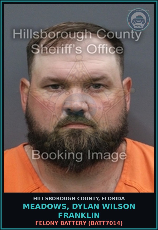 Booking mugshot of MEADOWS, DYLAN WILSON FRANKLIN in Hillsborough County