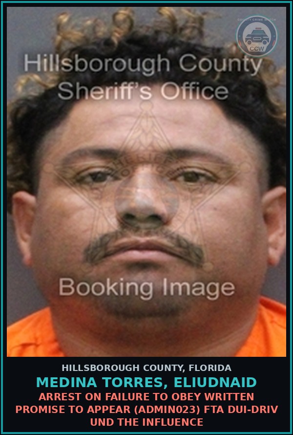 Booking mugshot of MEDINA TORRES, ELIUDNAID in Hillsborough County