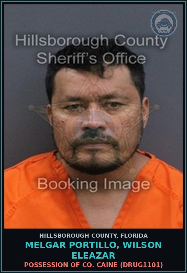 Booking mugshot of MELGAR PORTILLO, WILSON ELEAZAR in Hillsborough County