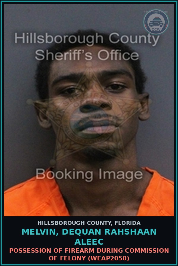 Booking mugshot of MELVIN, DEQUAN RAHSHAAN ALEEC in Hillsborough County